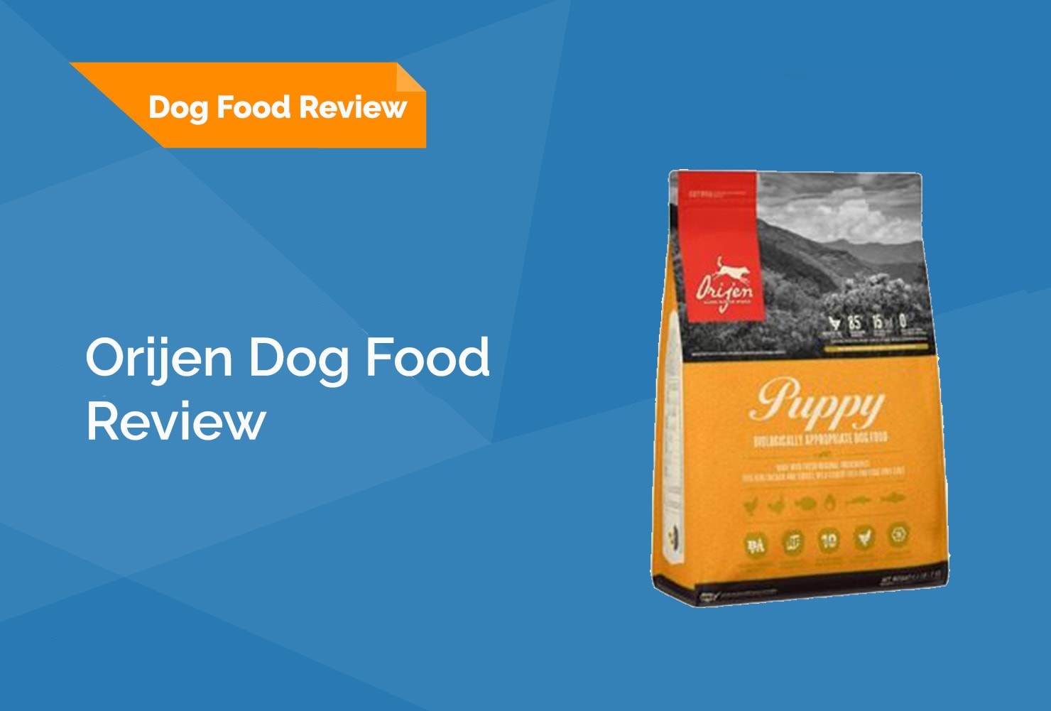 orijin dog food feature image