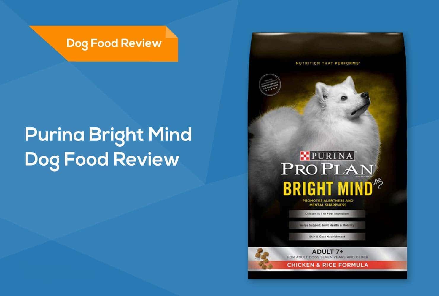 purina bright mind dog food review