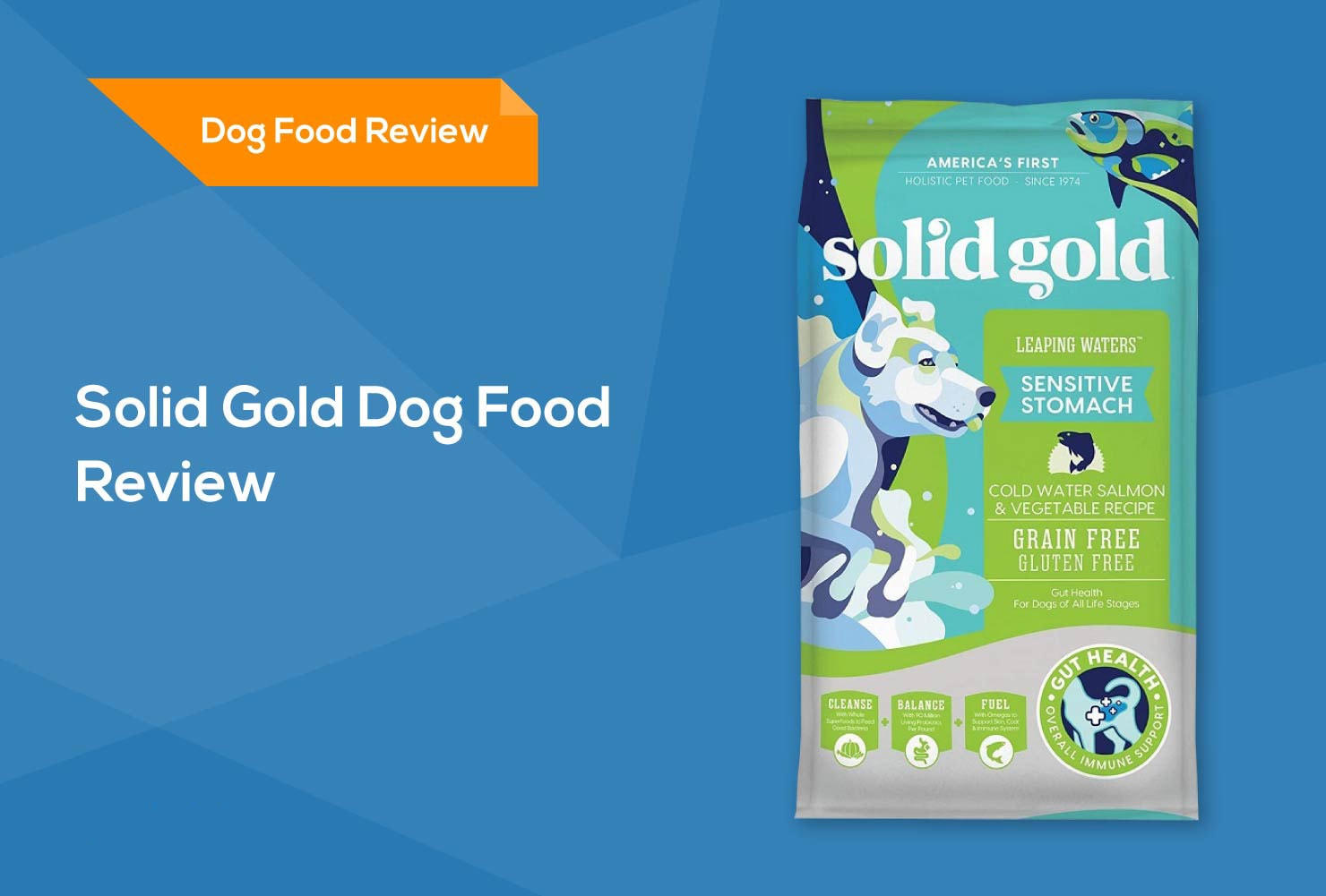 solid gold dog food review