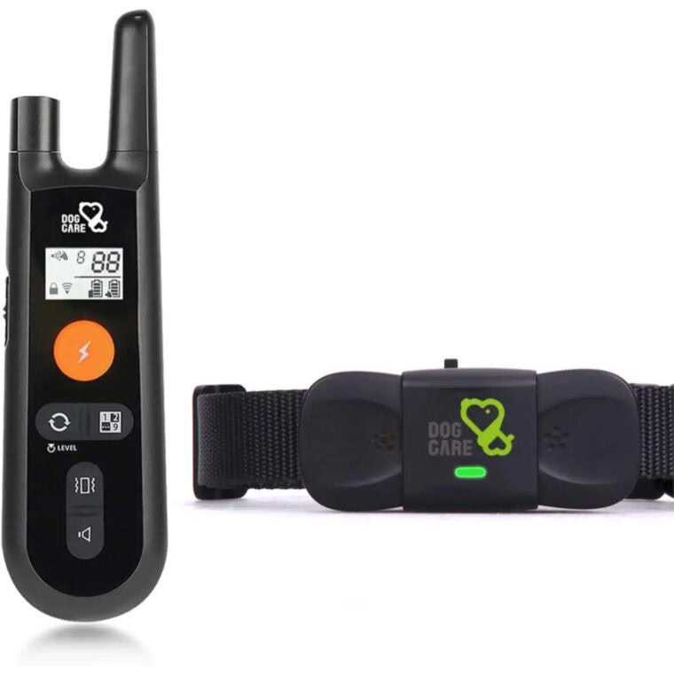 10 Best Dog Training Collars With Remotes 2024 Reviews & Top Picks