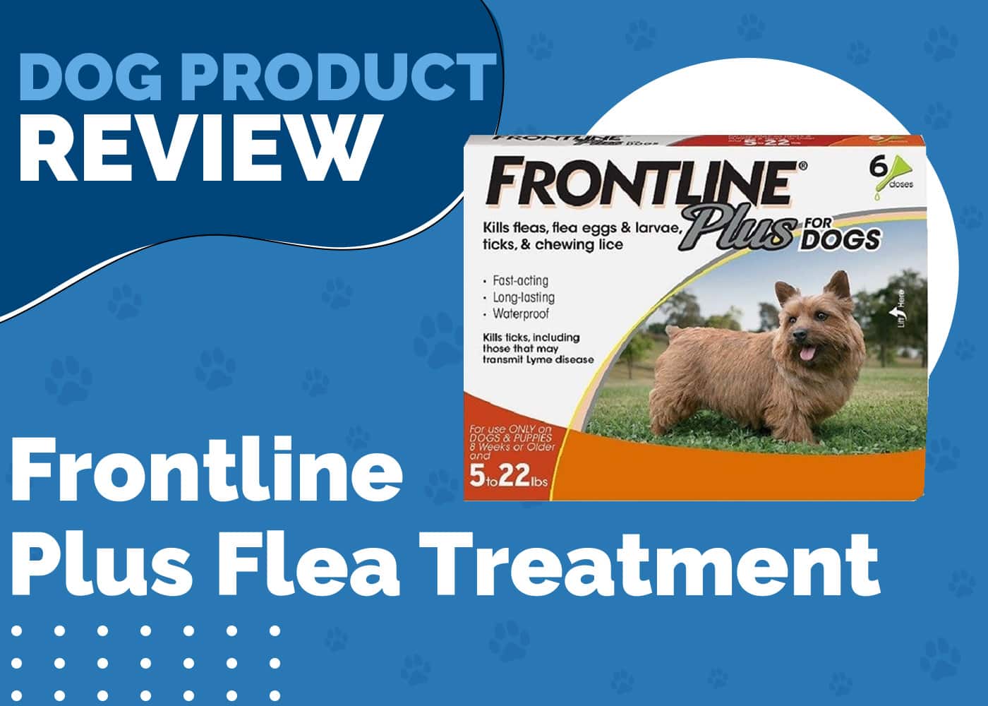 FRONTLINE PLUS FLEA TREATMENT REVIEW HEPPER