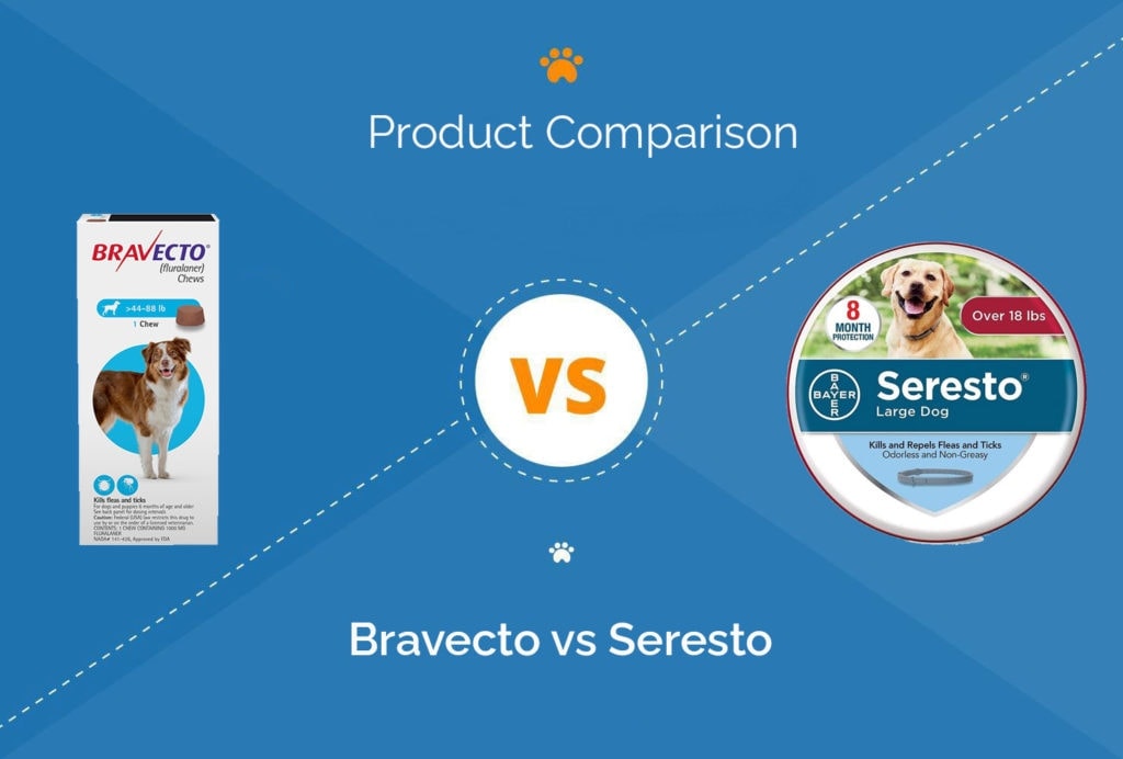 Bravecto vs Seresto Which Flea & Tick Treatment Is Better? Hepper