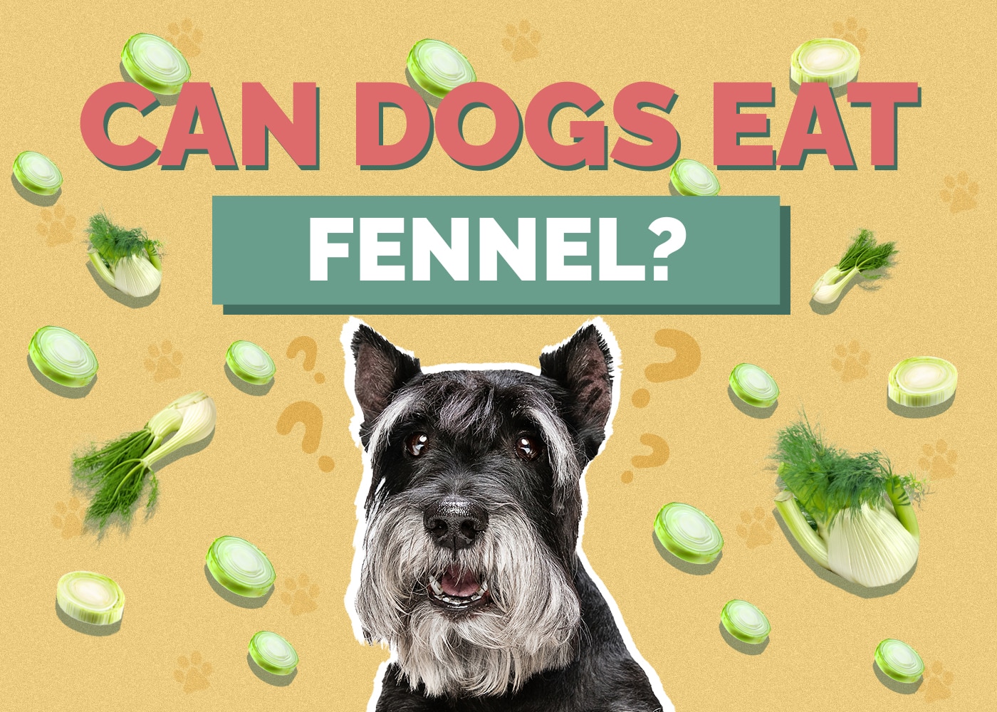 Can Dogs Eat fennel