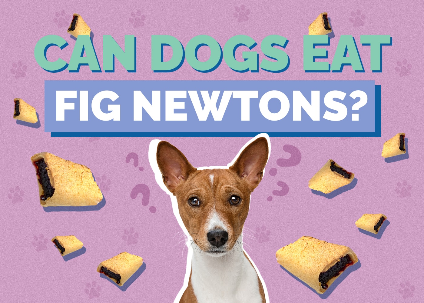 Can Dogs Eat fig-newtons