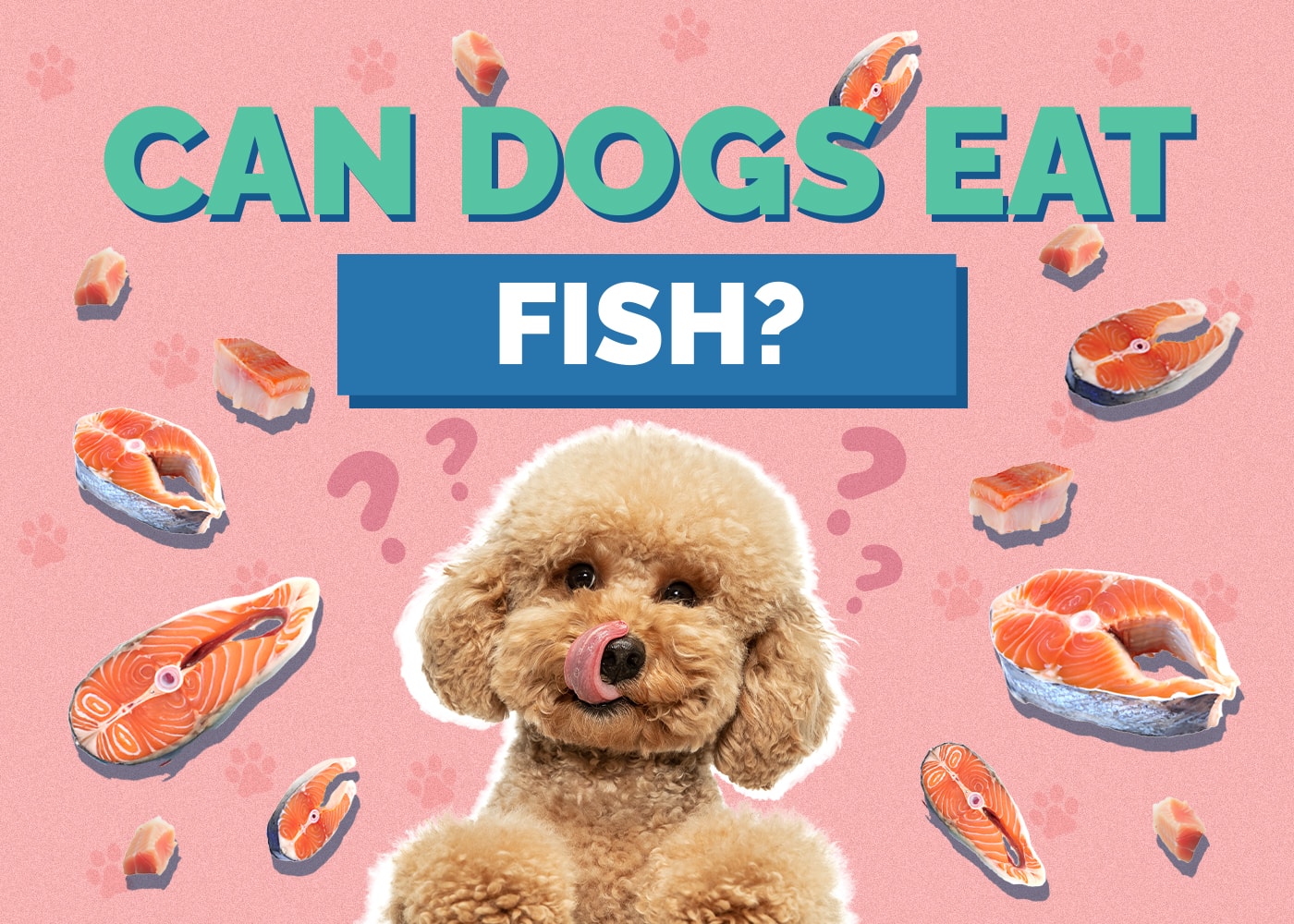 Can Dogs Eat fish