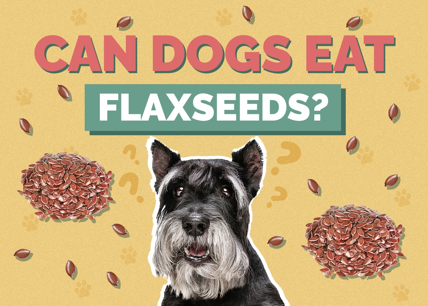 Can Dogs Eat flaxseeds