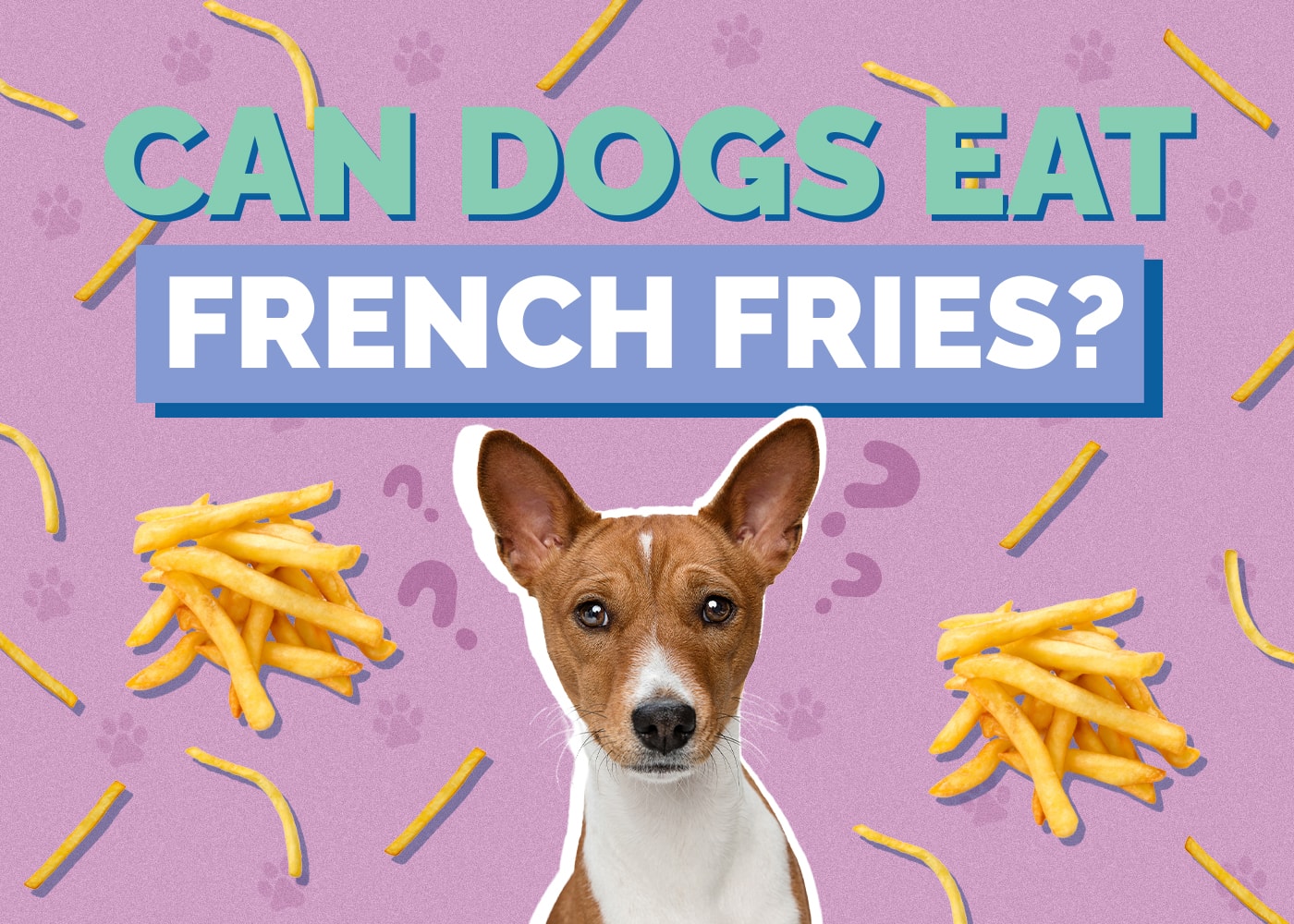 Can Dogs Eat french-fries