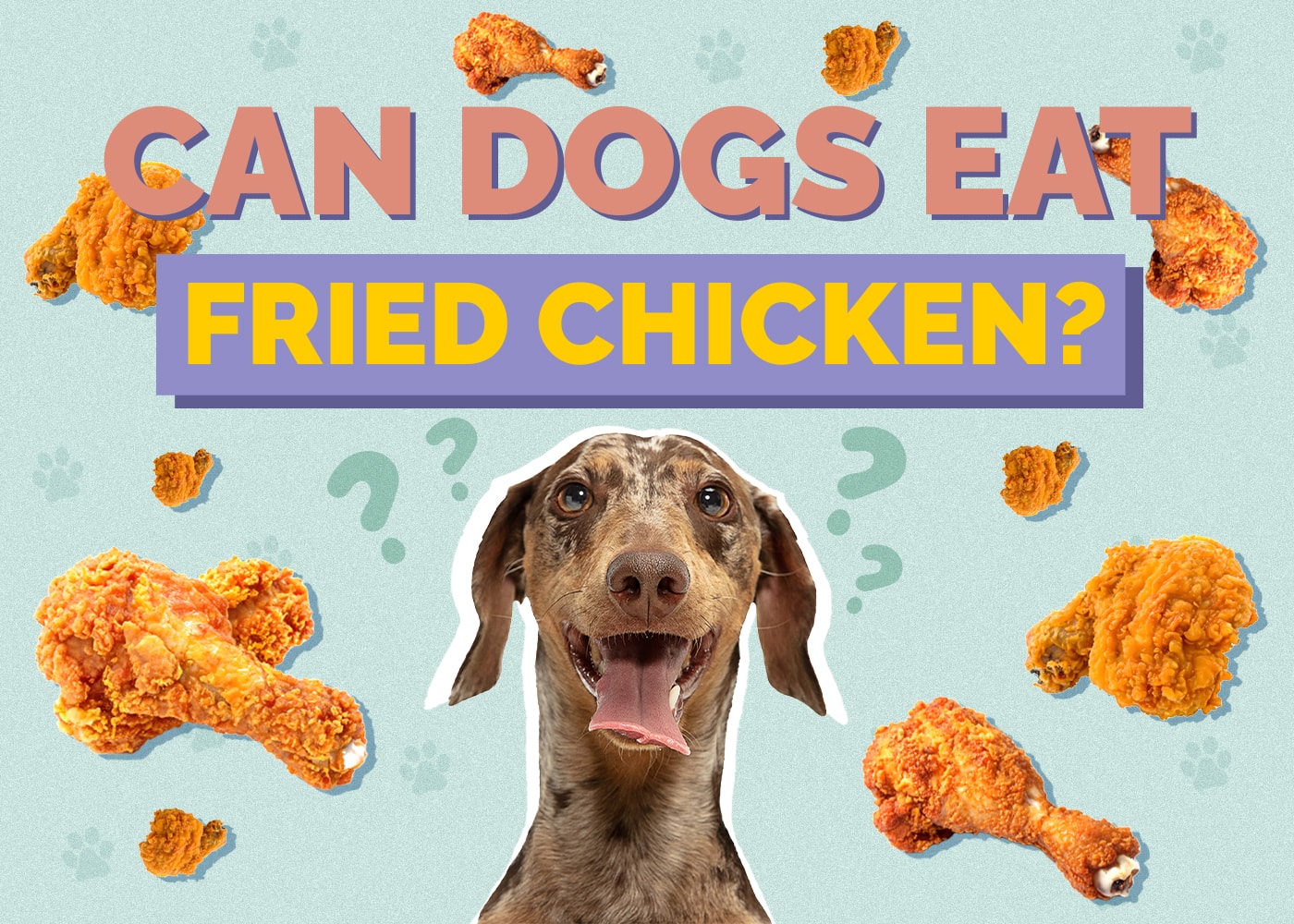 Can Dogs Eat fried-chicken