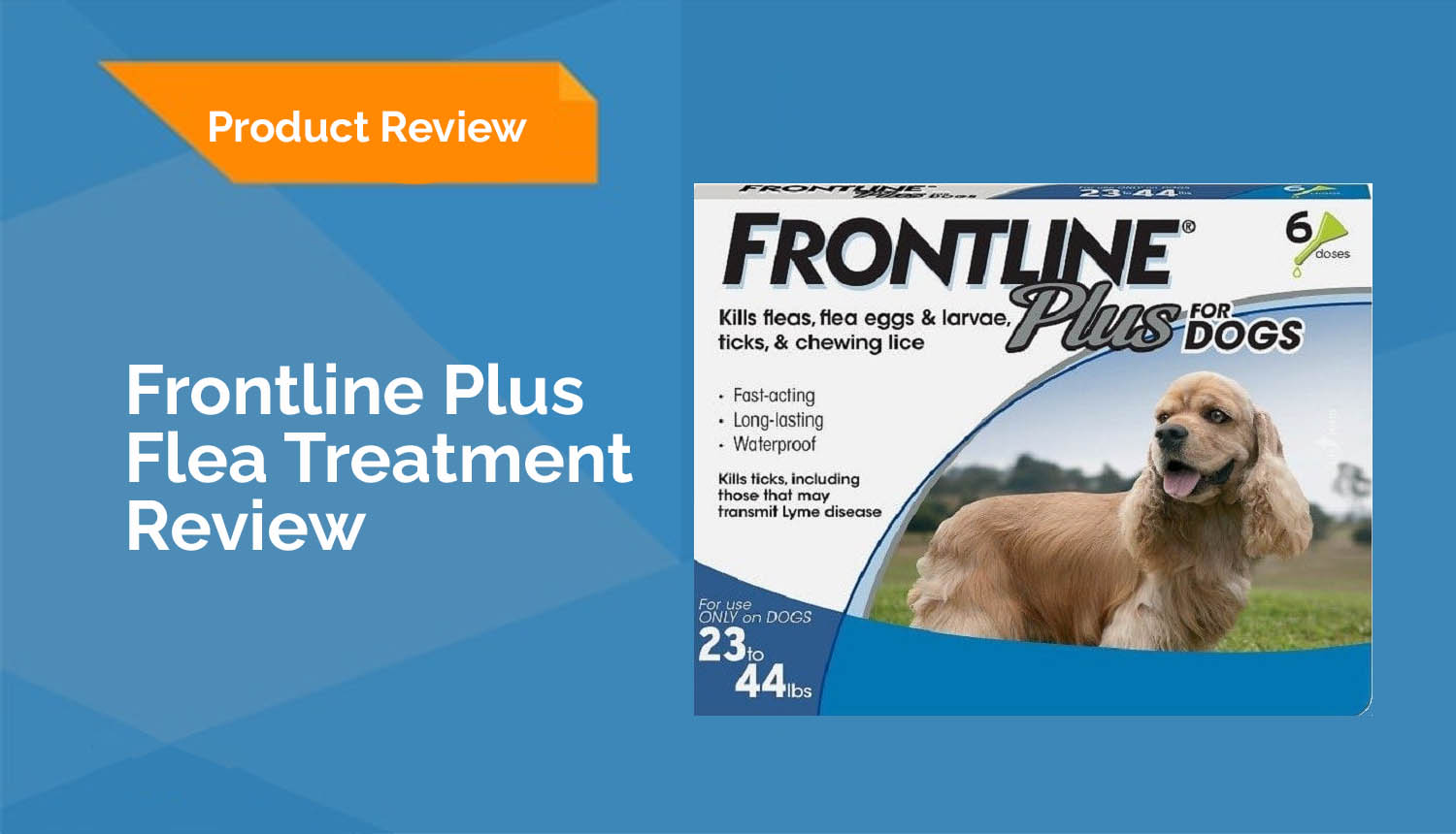 frontline plus for dog review header2