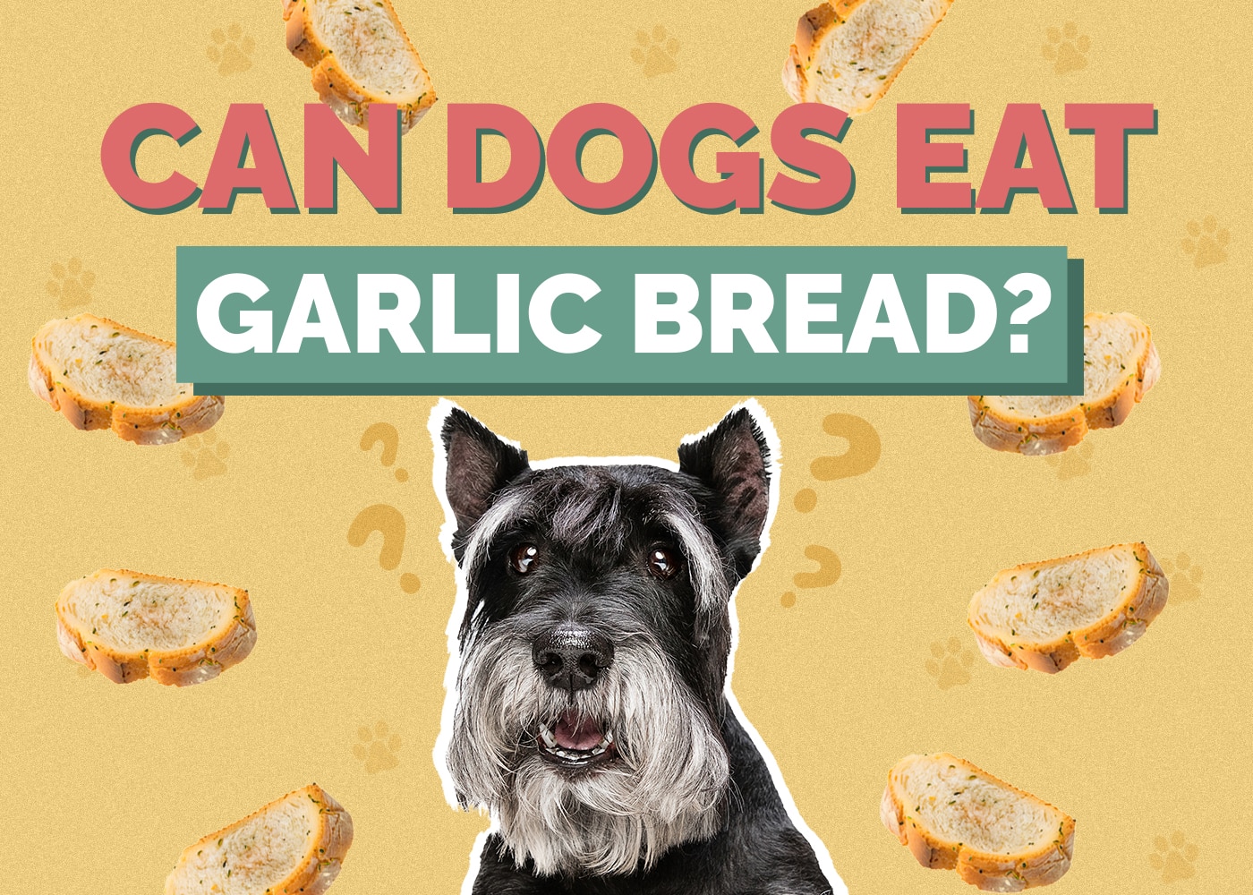 Can Dogs Eat garlic-bread