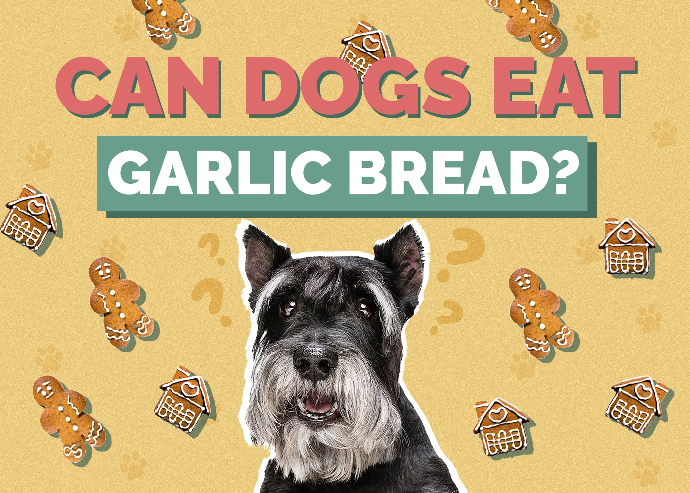 Can Dogs Eat gingerbread