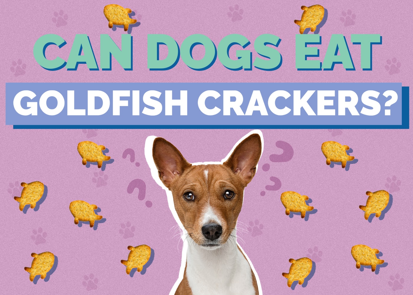Can Dogs Eat goldfish-cracker
