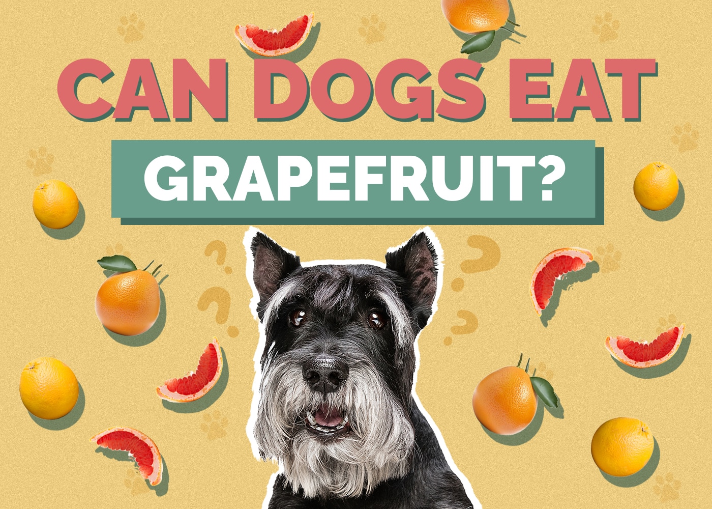 Can Dogs Eat grapefruit