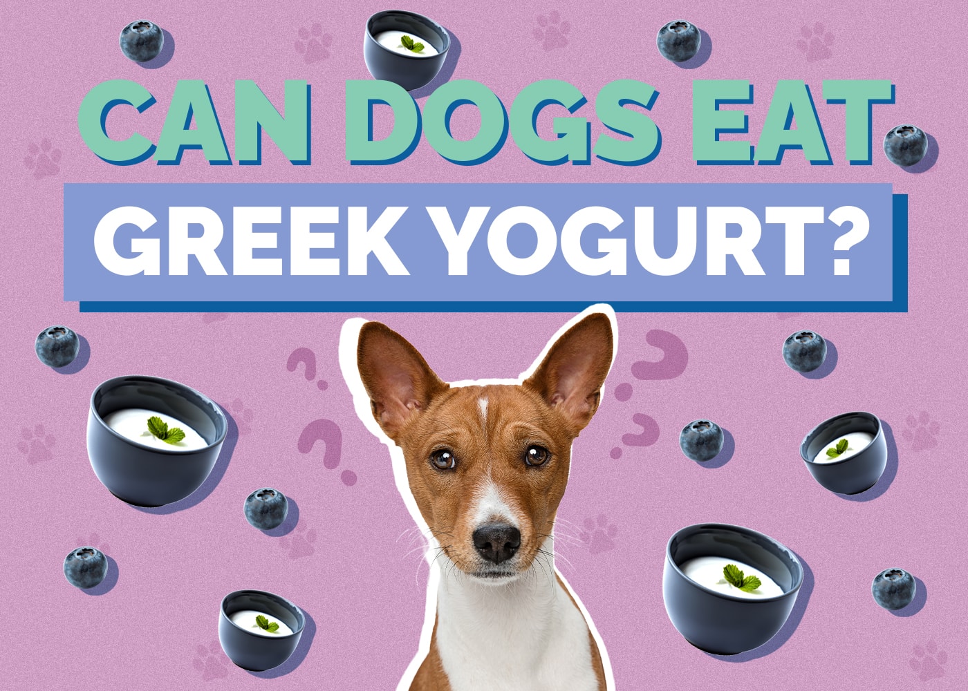 Can Dogs Eat greek-yogurt
