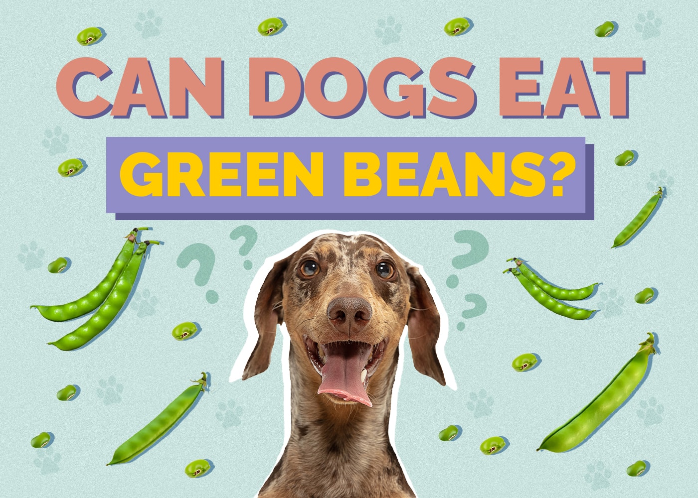 Can Dogs Eat green-beans
