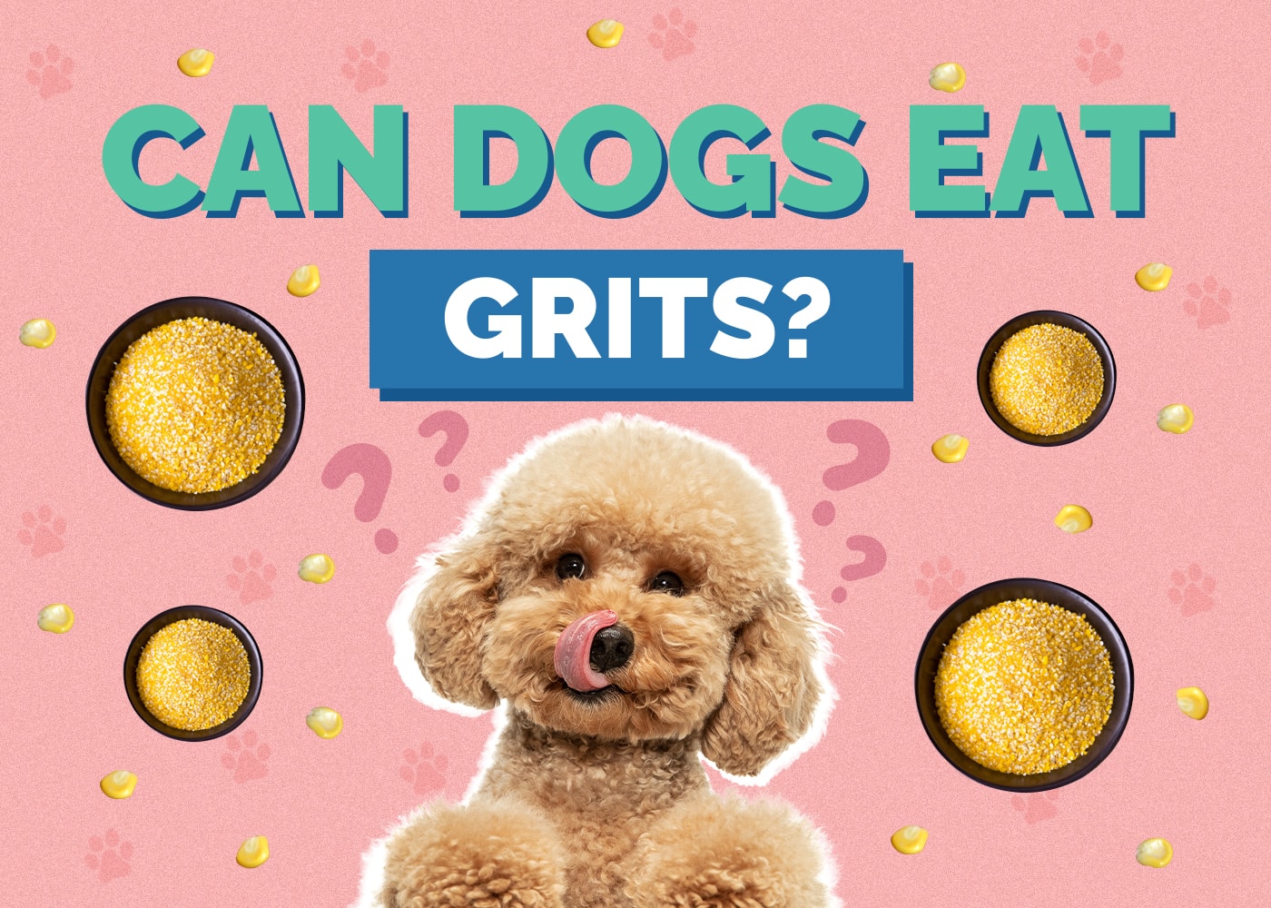 Can Dogs Eat grits