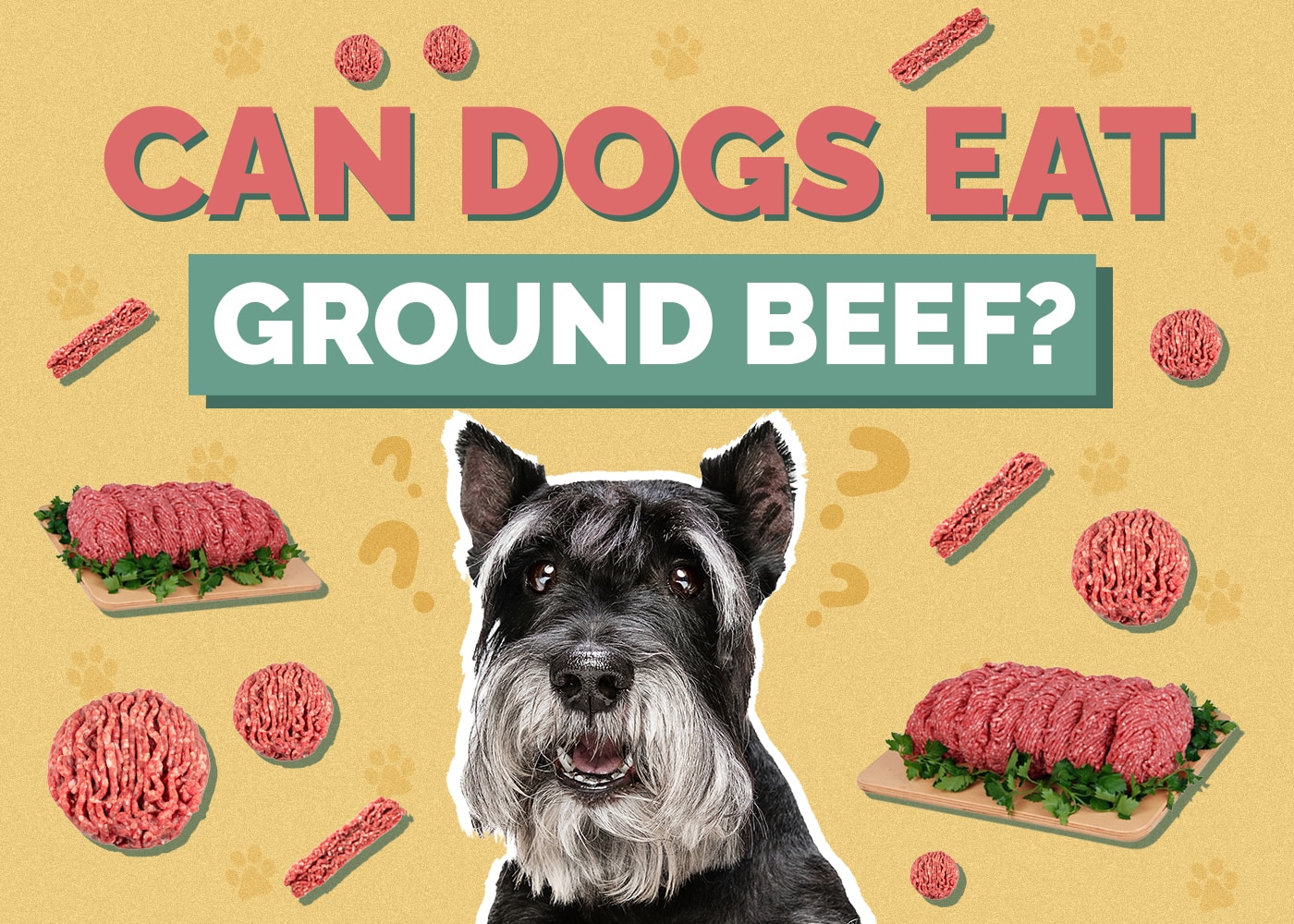 Can Dogs Eat ground-beef
