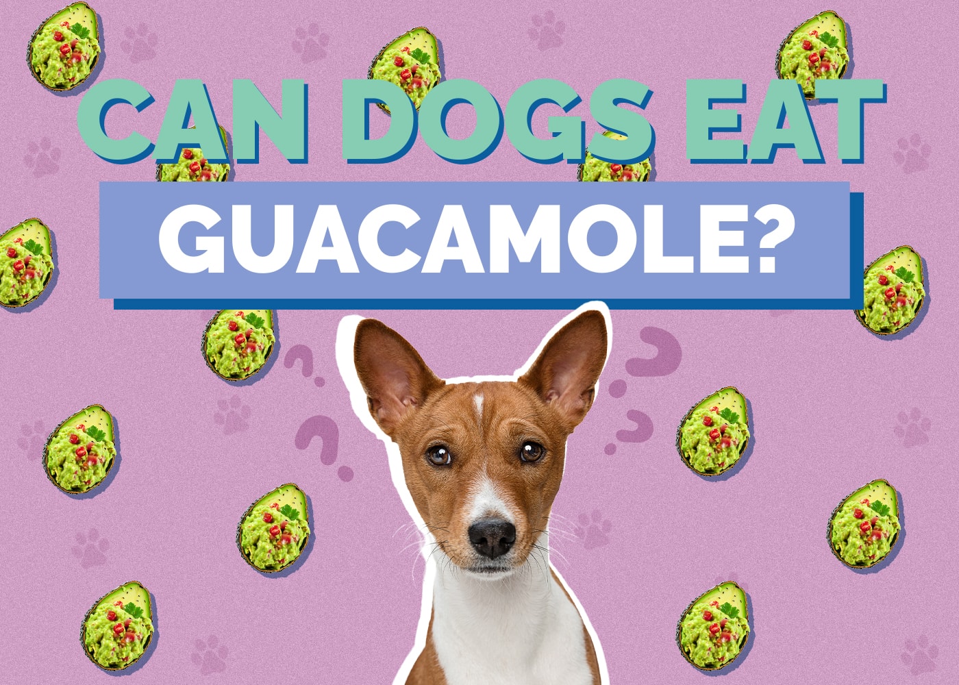 Can Dogs Eat guacamole