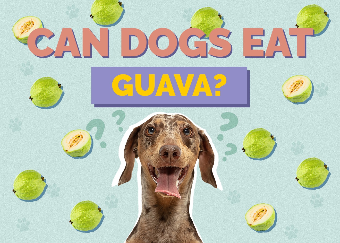 Can Dogs Eat guava