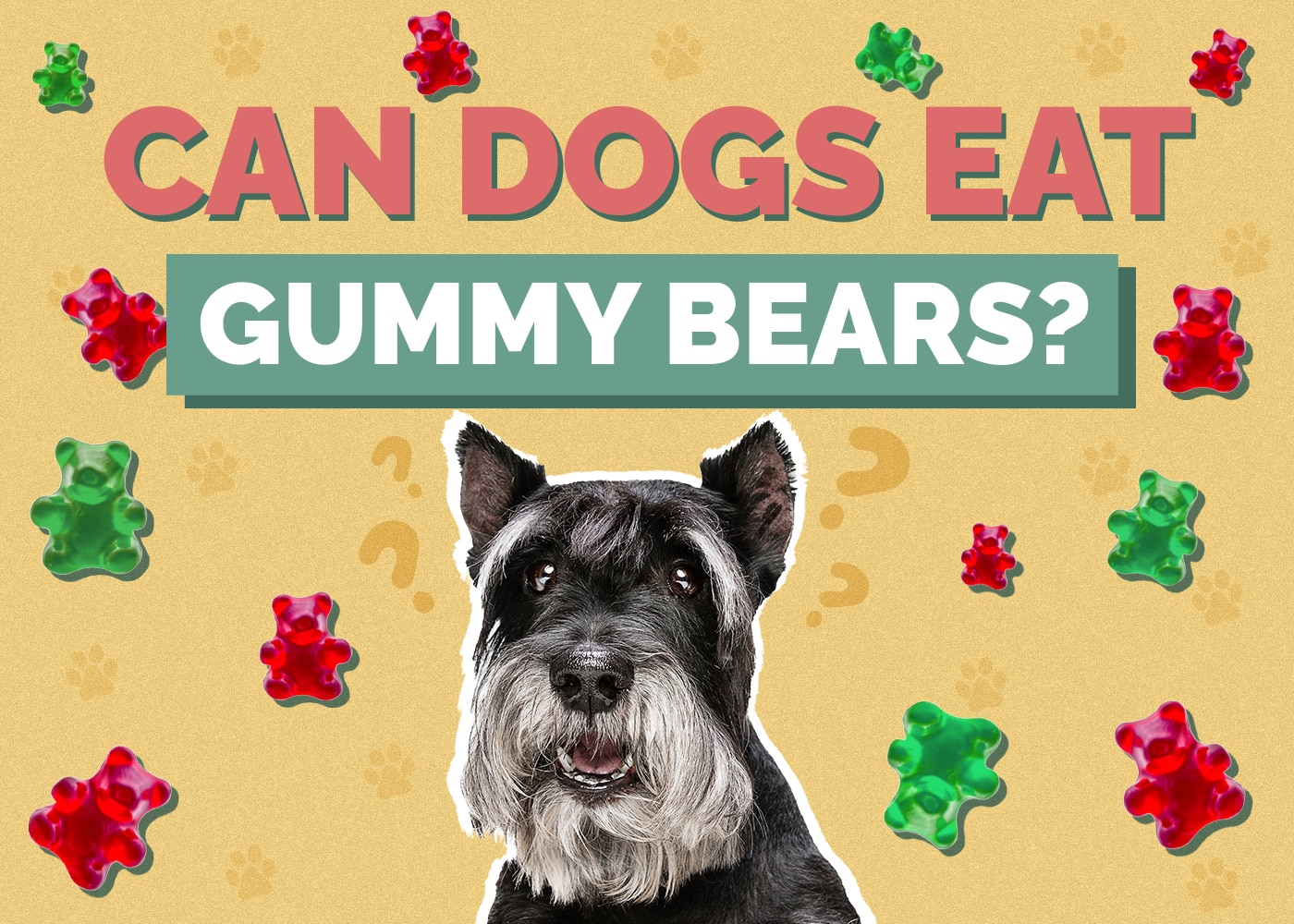 Can Dogs Eat gummy-bear
