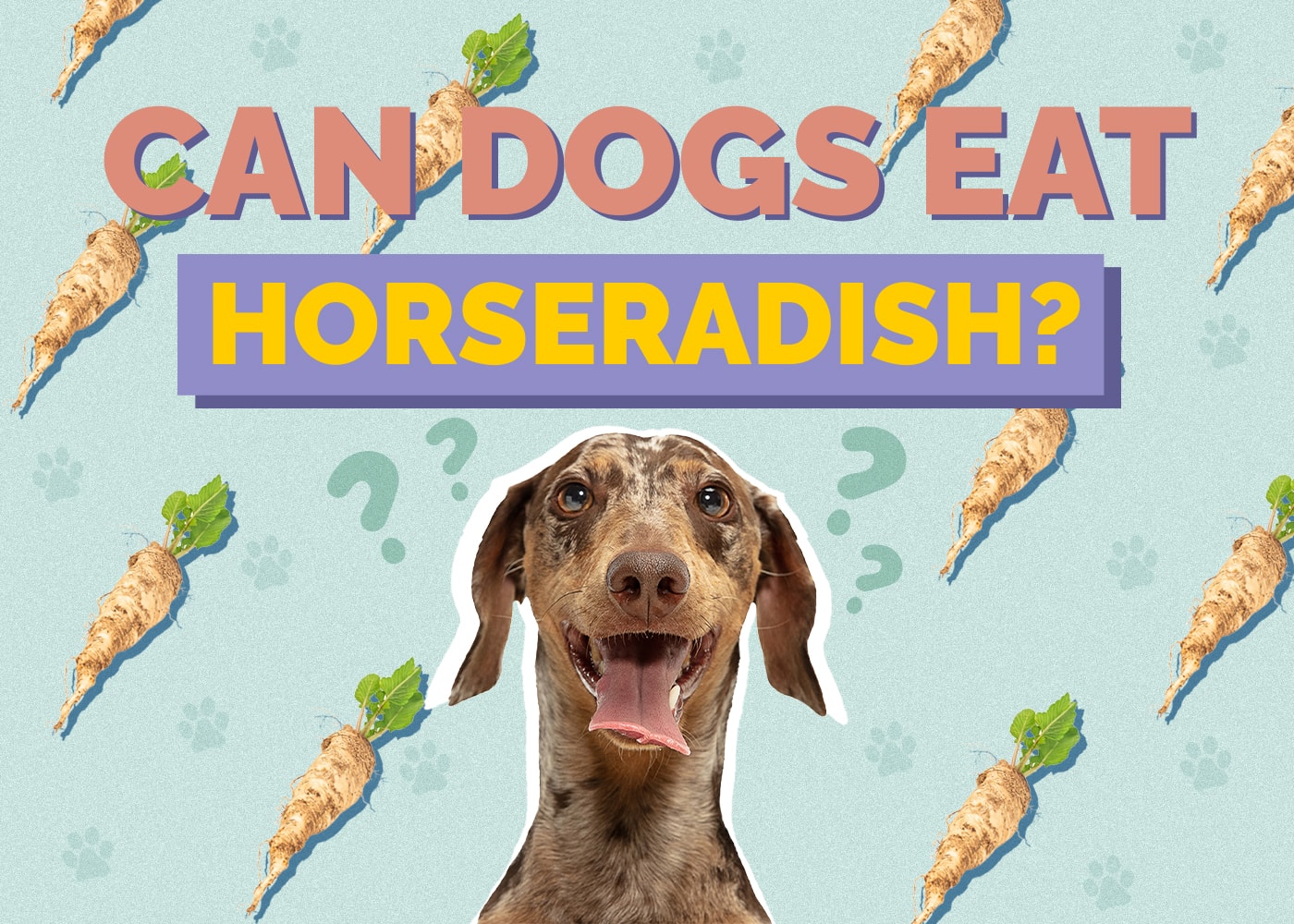 Can Dogs Eat horseradish