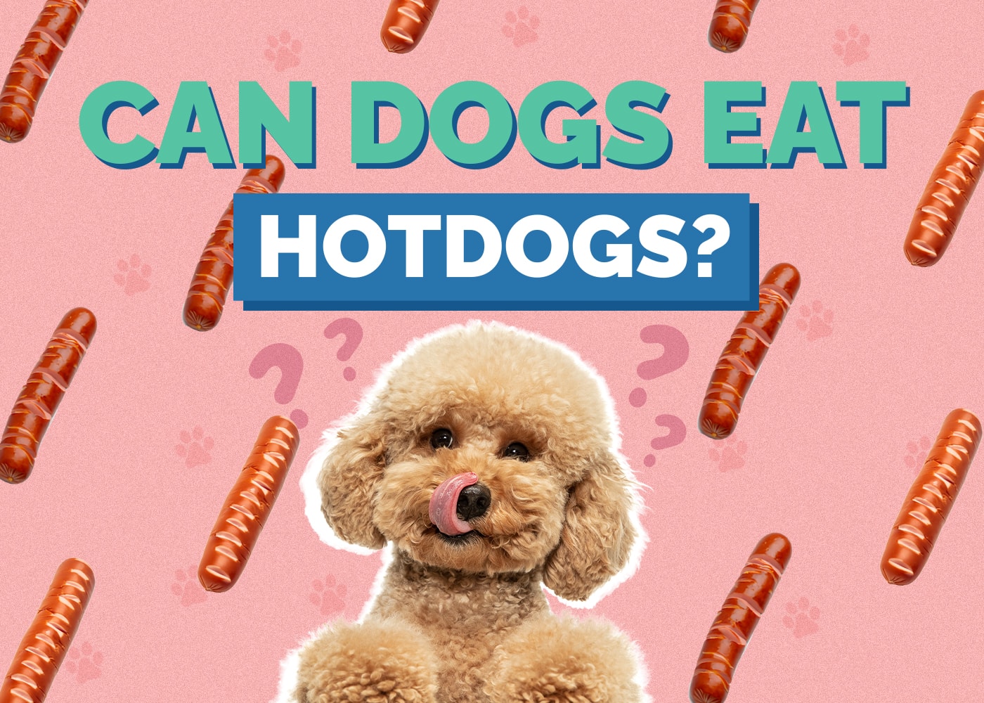 Can Dogs Eat hotdogs