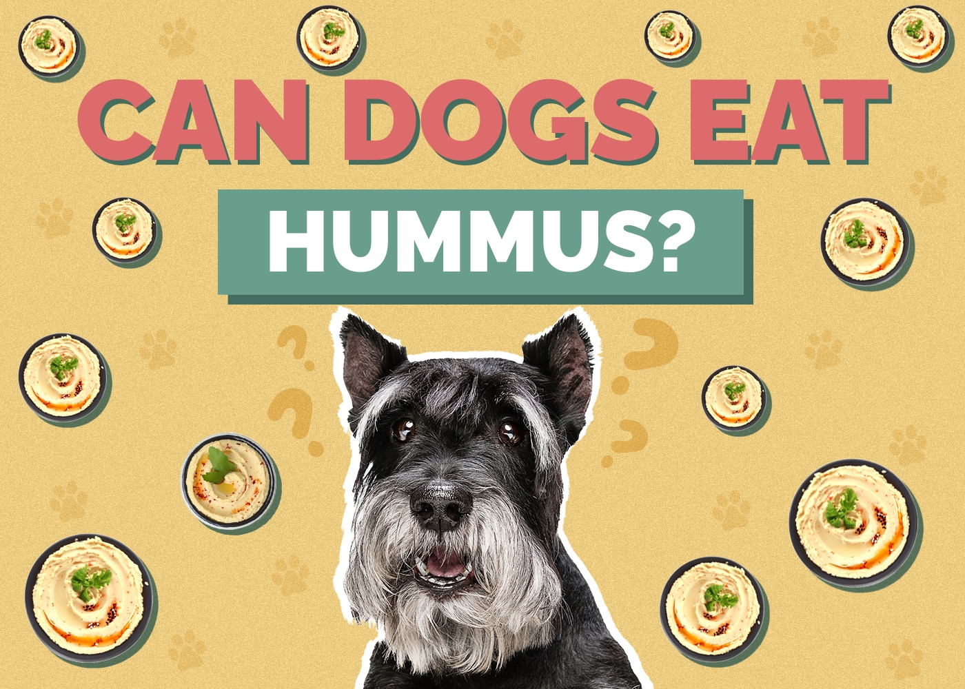 Can Dogs Eat hummus
