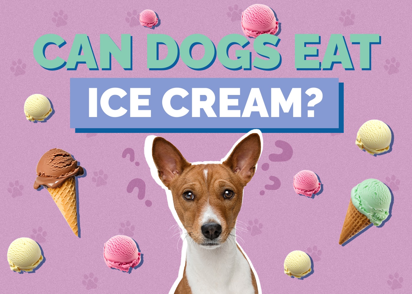Can Dogs Eat ice-cream