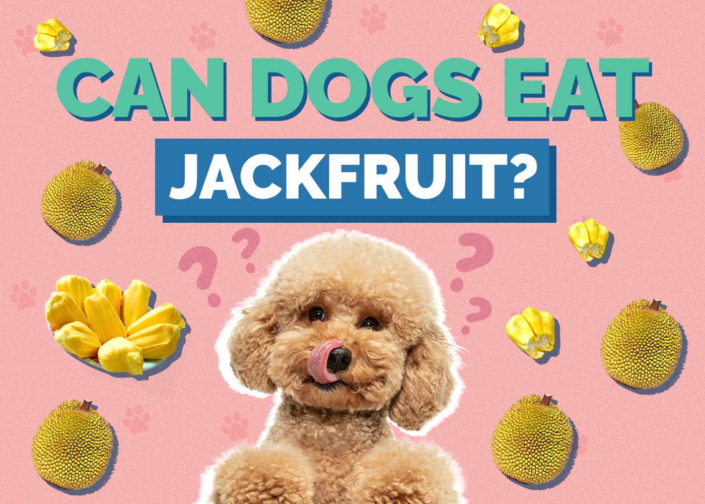 Can Dogs Eat jackfruit