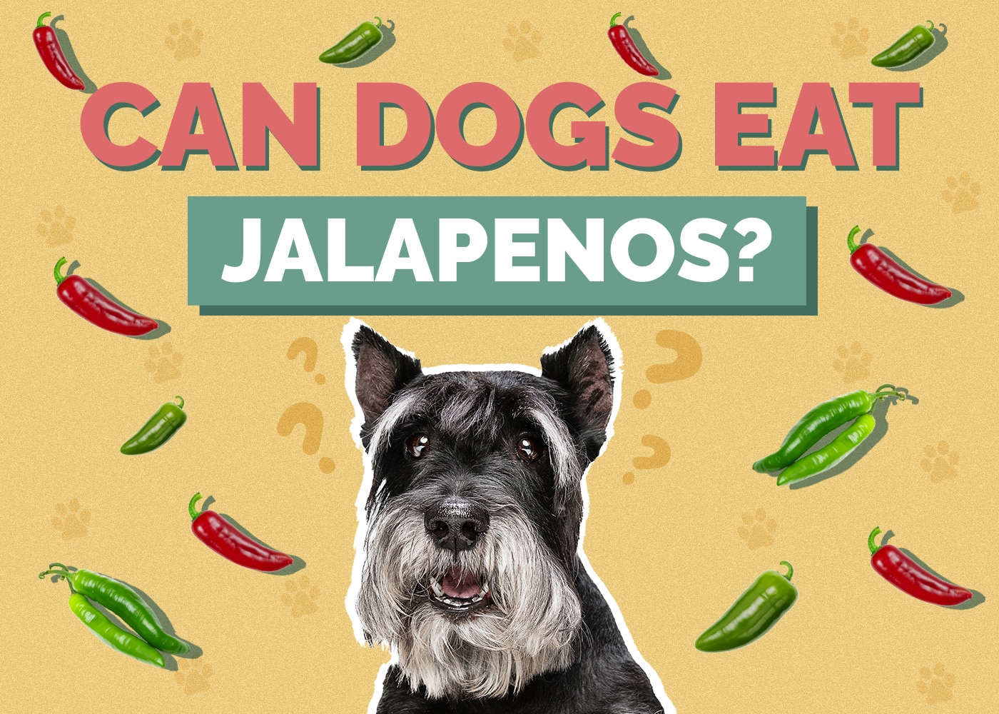 Can Dogs Eat jalapenos