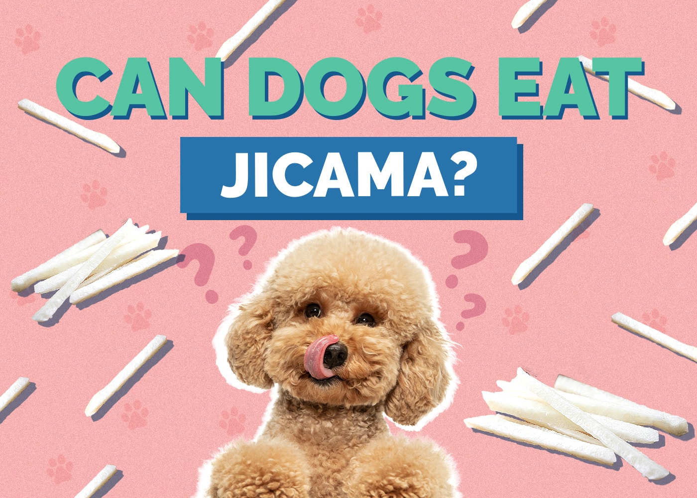 Can Dogs Eat jicama