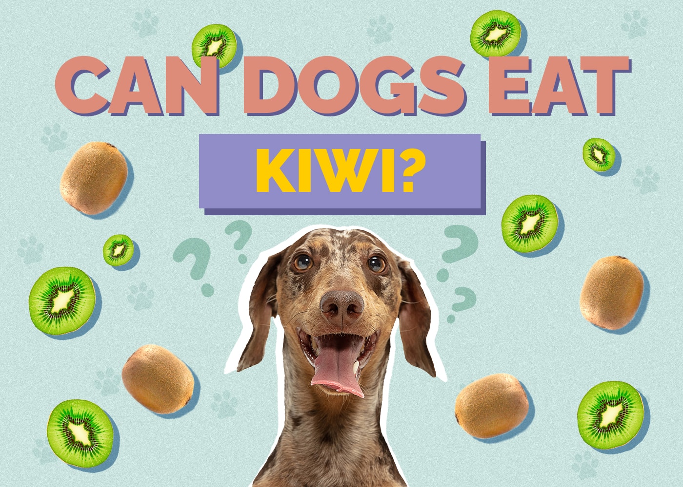 Can Dogs Eat kiwi