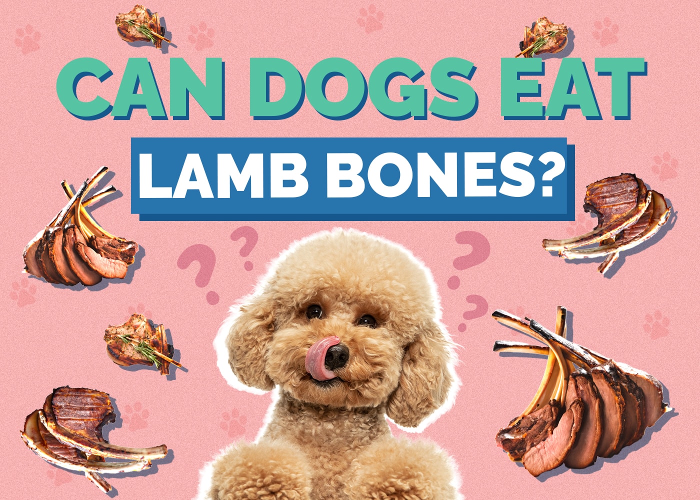 Can Dogs Eat Lamb bones