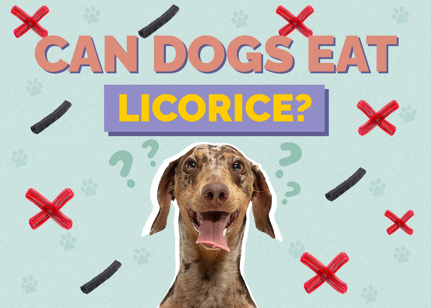 Can Dogs Eat licorice