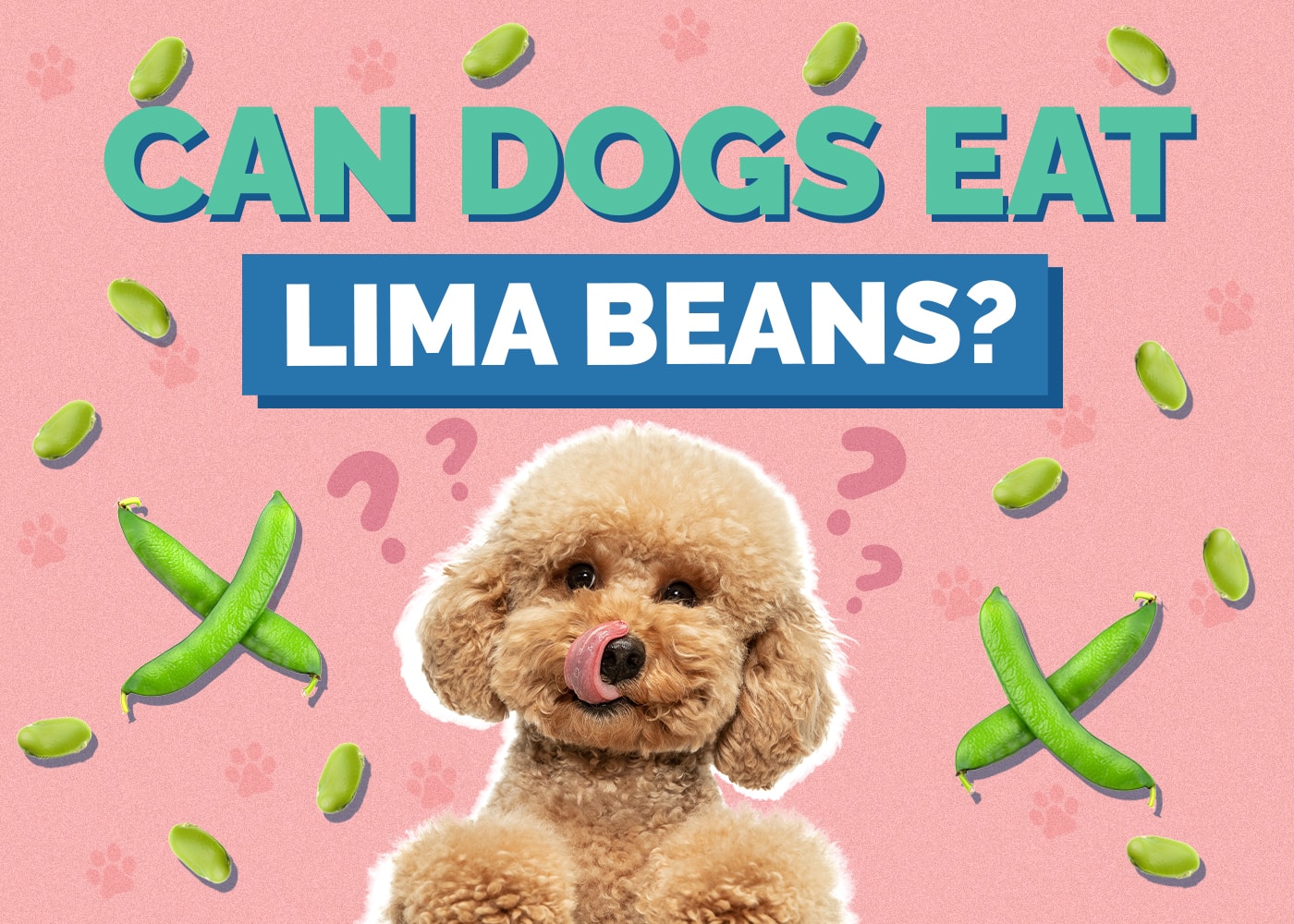 Can Dogs Eat lima-beans