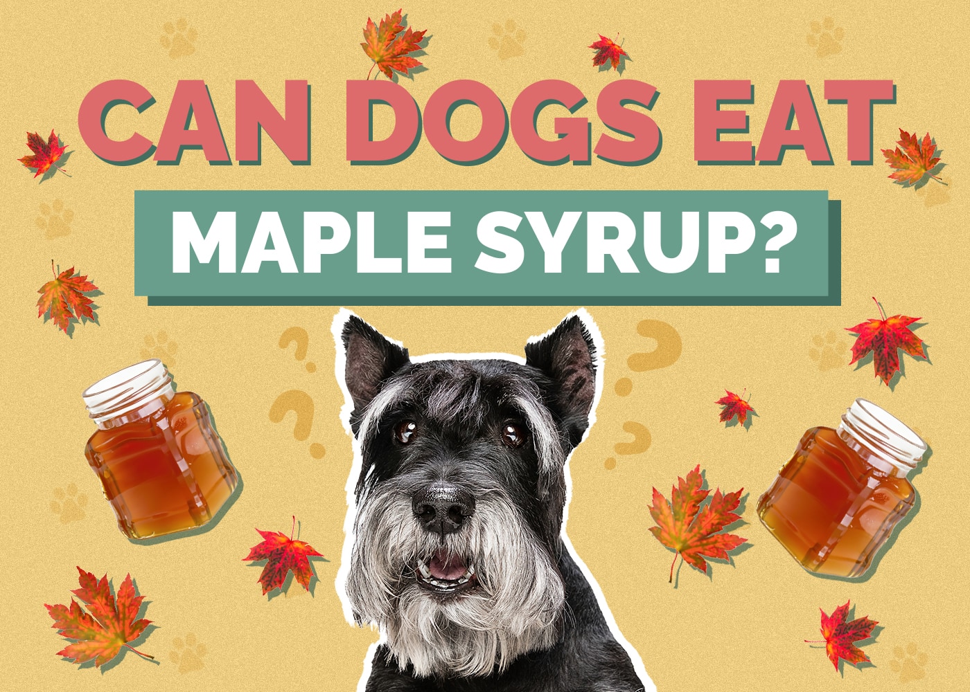Can Dogs Eat maple-syrup