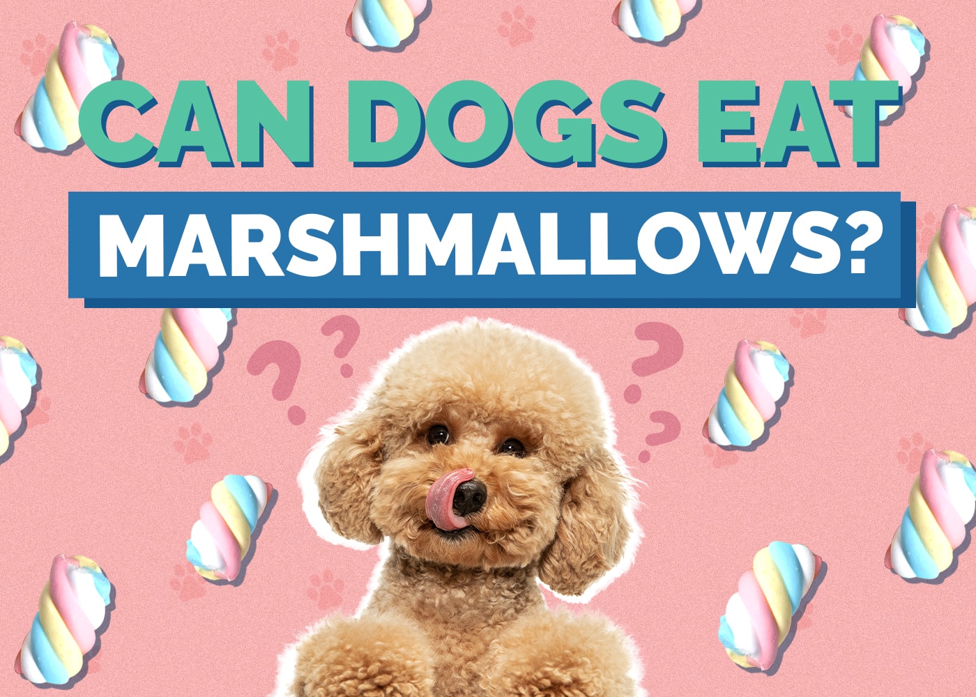Can Dogs Eat marshmallow