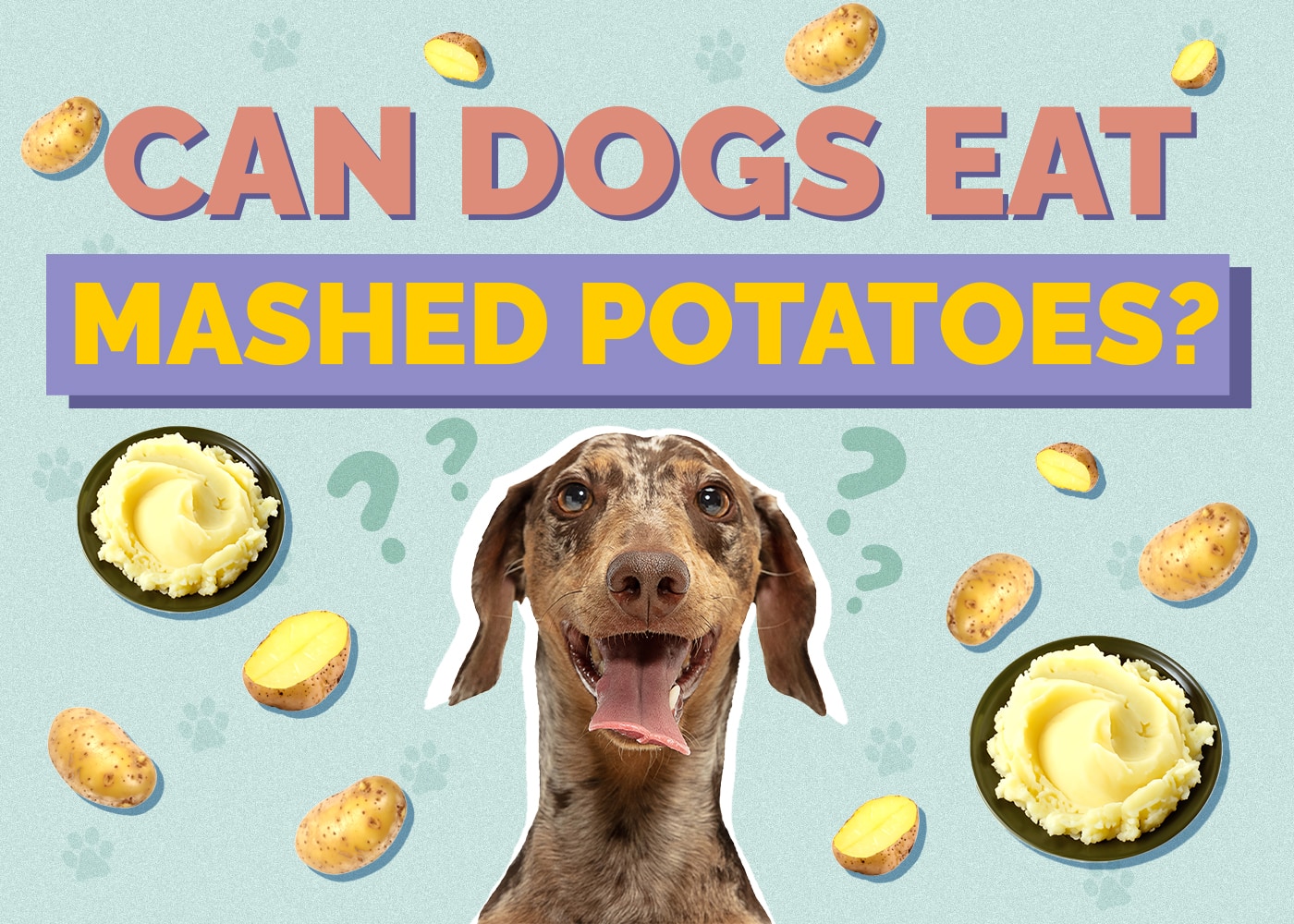 Can Dogs Eat mashed-potatoes