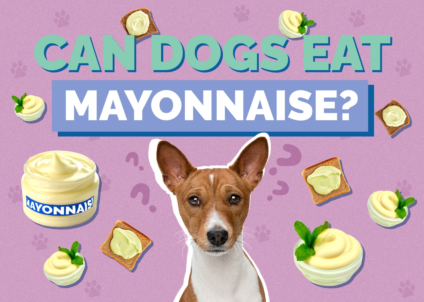 Can Dogs Eat mayonnaise