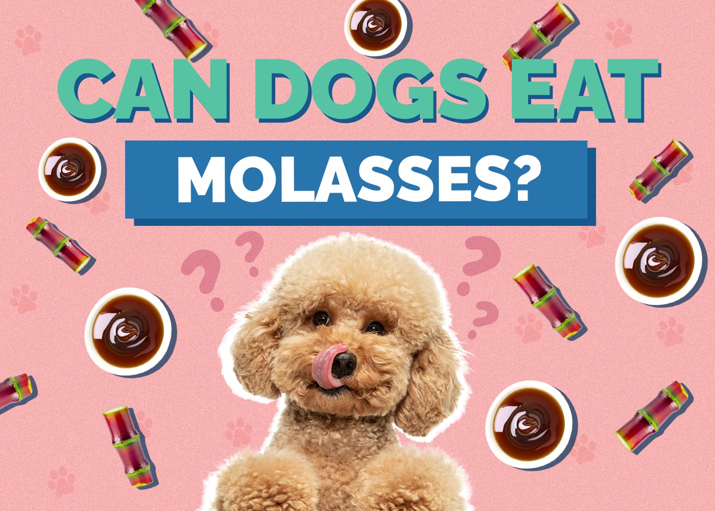 Can Dogs Eat Molasses? Vet Approved Benefits & Safety Tips Hepper