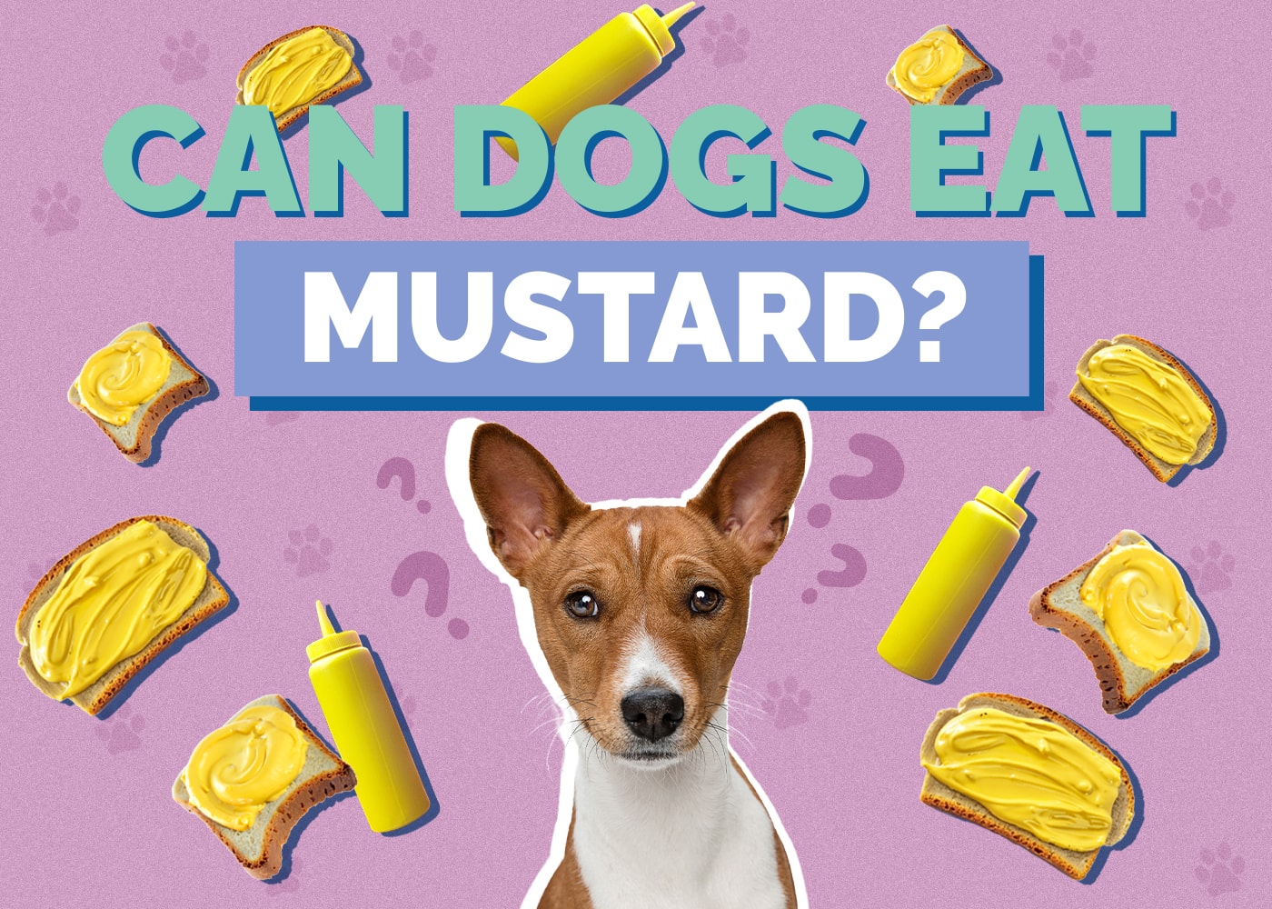 Can Dogs Eat mustard