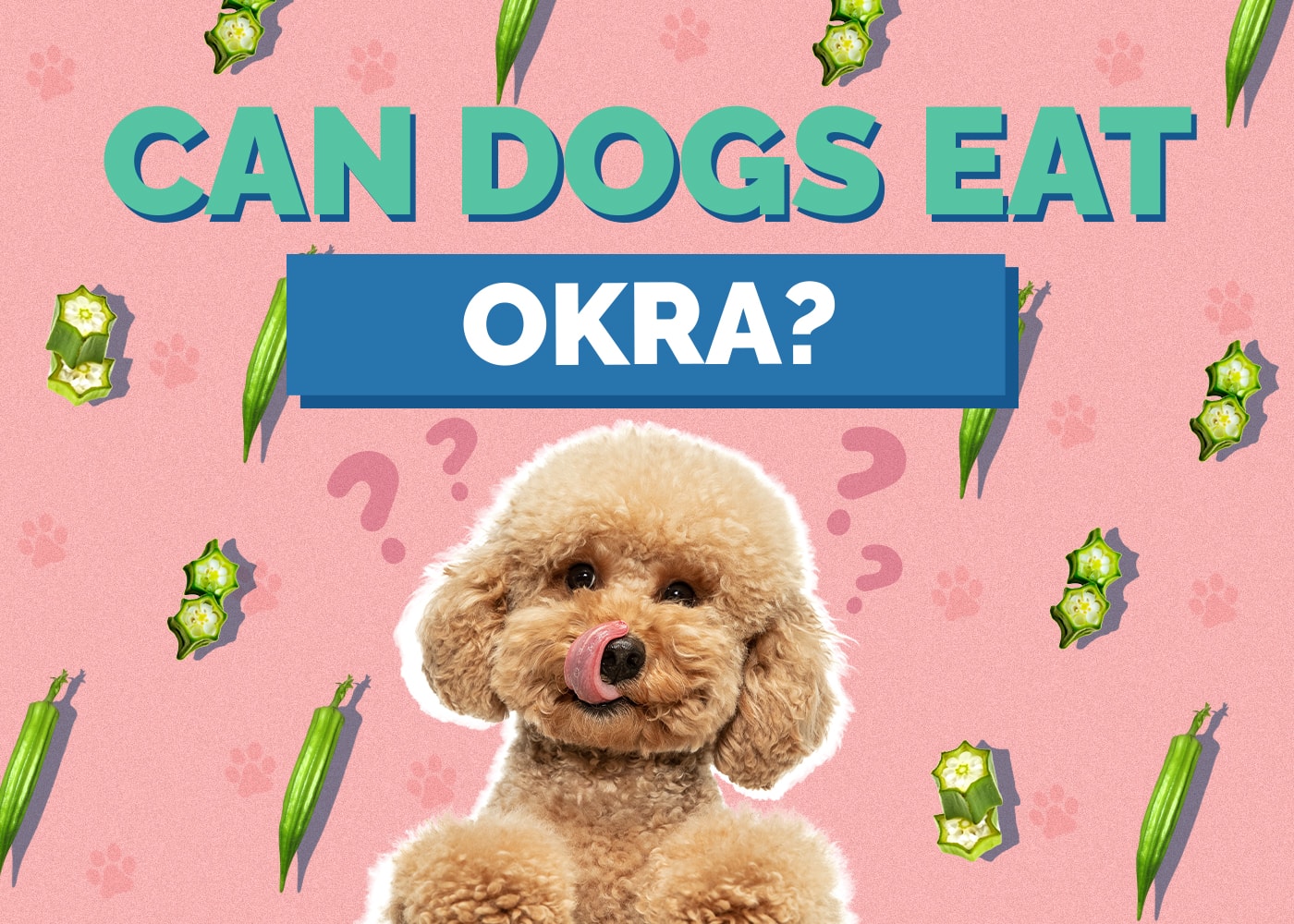 Can Dogs Eat okra