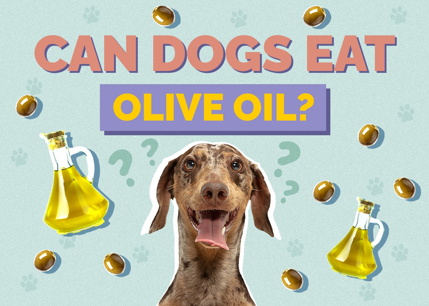 Can Dogs Eat olive-oil