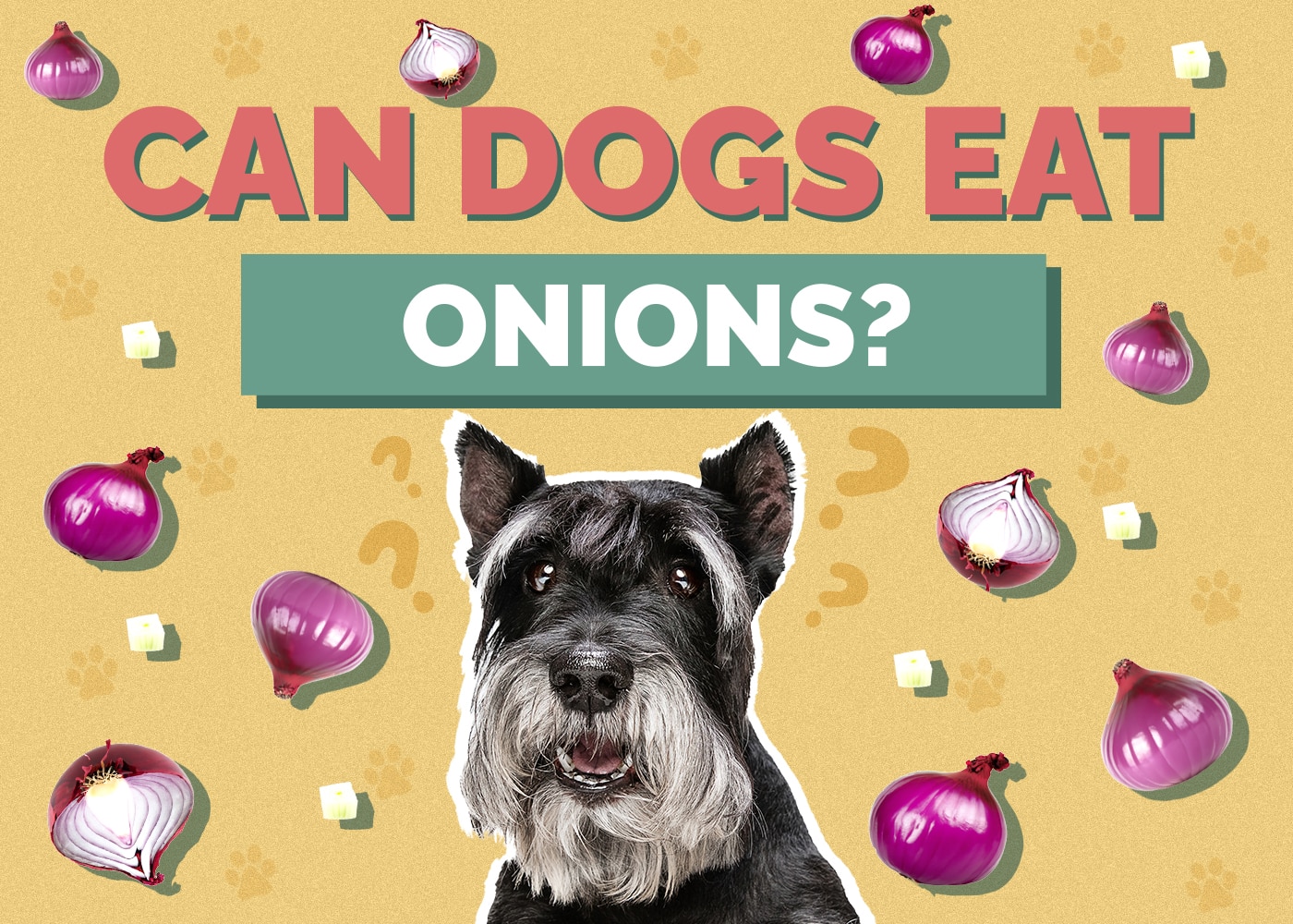 Can Dogs Eat onions