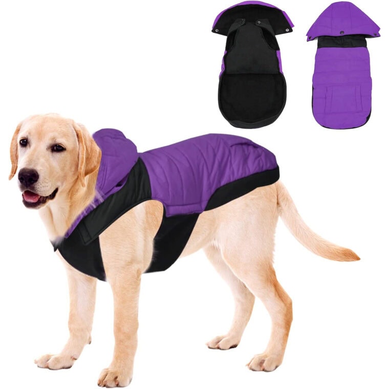 10 Best Dog Anxiety Vests in 2024 Reviews & Top Picks Hepper