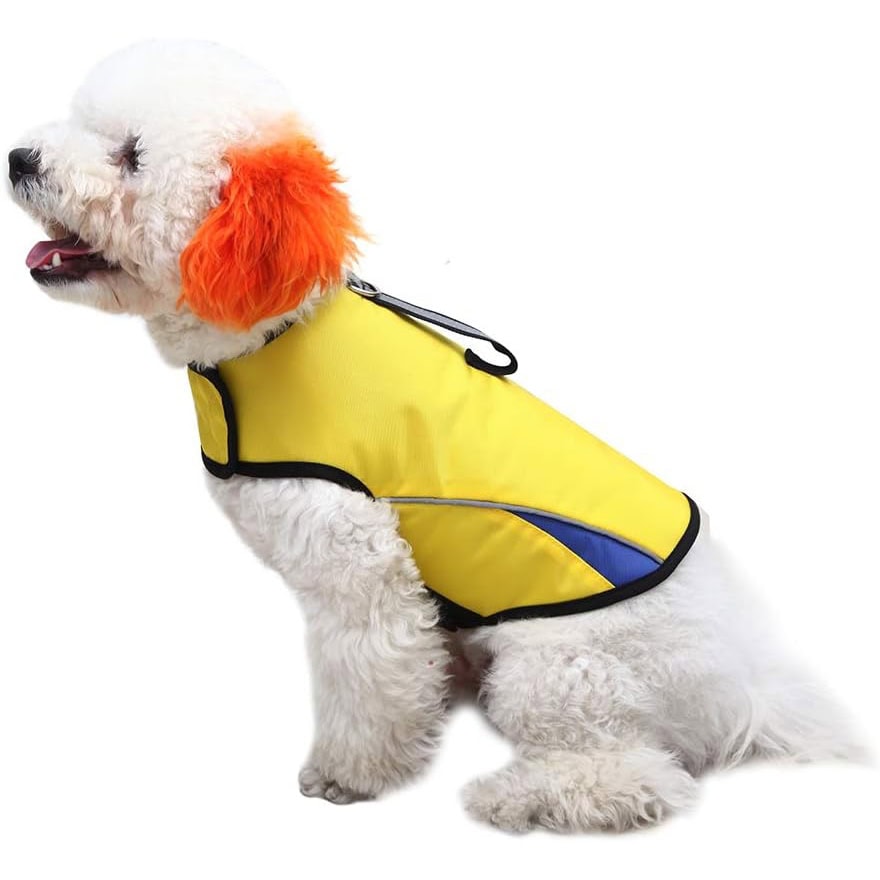 10 Best Dog Anxiety Vests in 2024 Reviews & Top Picks Hepper