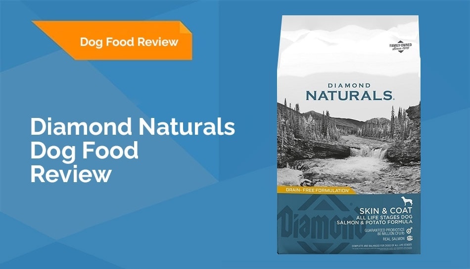 Diamond Naturals Dog Food Review 2023 Recalls, Pros & Cons Hepper