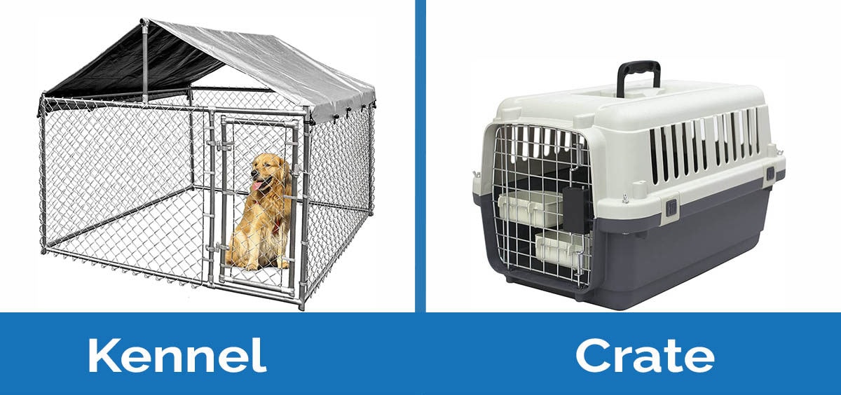 Verplicht Tanzania kruis Dog Crate vs Kennel: What's the Difference? | Hepper