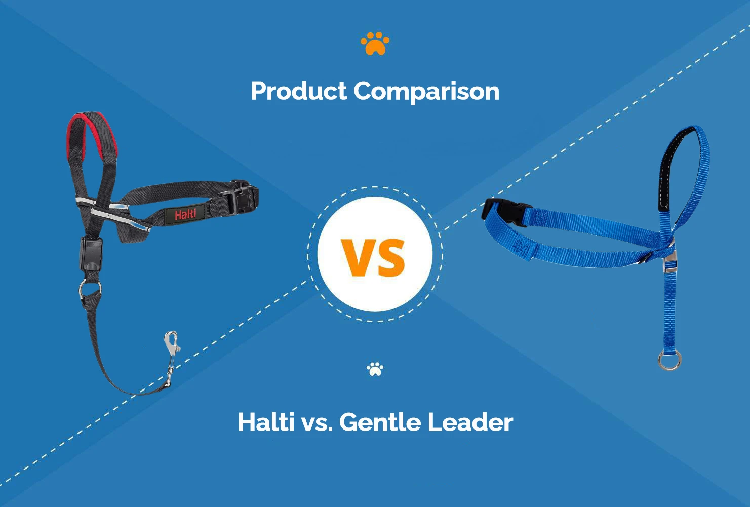 Halti vs Gentle Leader - Featured Image