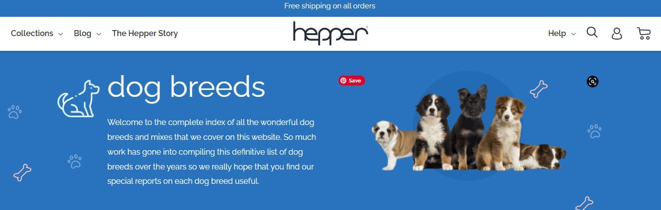 Hepper dog blog